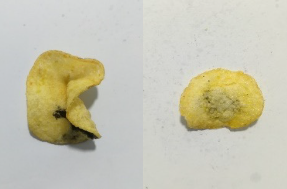 Defective potato chip with burn marks